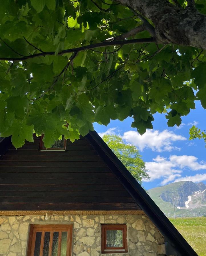 Apartman A&A Villa Zabljak  Exterior photo